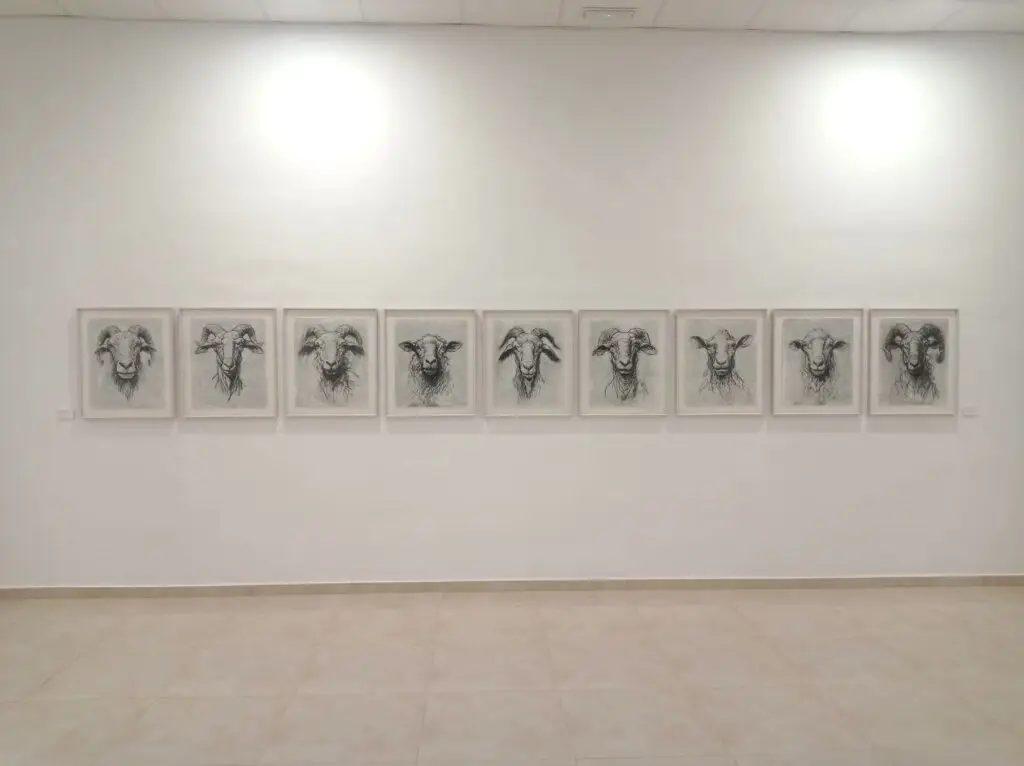 492082185_1201848805284248_7558713508462601267_n