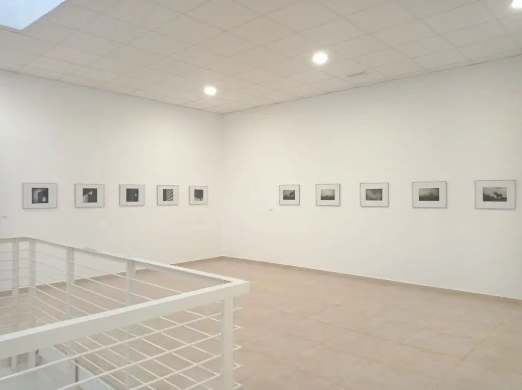 492916660_1201849135284215_1952083265134872270_n